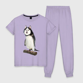 Женская пижама хлопок с принтом Хаскогвин в Курске, 100% хлопок | брюки и футболка прямого кроя, без карманов, на брюках мягкая резинка на поясе и по низу штанин | Тематика изображения на принте: пингвин