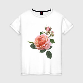Женская футболка хлопок с принтом Розовая роза в Курске, 100% хлопок | прямой крой, круглый вырез горловины, длина до линии бедер, слегка спущенное плечо | Тематика изображения на принте: девушкам | розовая роза | цветок