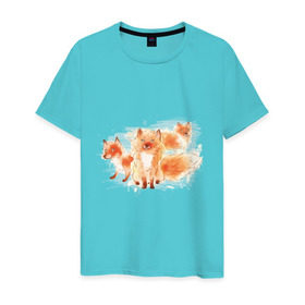 Мужская футболка хлопок с принтом Лисички в Курске, 100% хлопок | прямой крой, круглый вырез горловины, длина до линии бедер, слегка спущенное плечо. | fox | акварель | животные | лисы | мило