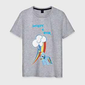 Мужская футболка хлопок с принтом Rainbow Dash Loyalty в Курске, 100% хлопок | прямой крой, круглый вырез горловины, длина до линии бедер, слегка спущенное плечо. | Тематика изображения на принте: 