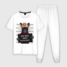 Мужская пижама хлопок с принтом Bad boy в Курске, 100% хлопок | брюки и футболка прямого кроя, без карманов, на брюках мягкая резинка на поясе и по низу штанин
 | bad | dog | собака