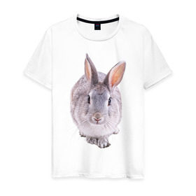 Мужская футболка хлопок с принтом Кролик в Курске, 100% хлопок | прямой крой, круглый вырез горловины, длина до линии бедер, слегка спущенное плечо. | заяц | кролик | крольчёнок | крольчишка