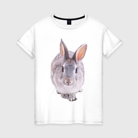 Женская футболка хлопок с принтом Кролик в Курске, 100% хлопок | прямой крой, круглый вырез горловины, длина до линии бедер, слегка спущенное плечо | заяц | кролик | крольчёнок | крольчишка