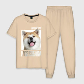 Мужская пижама хлопок с принтом Акита ину в Курске, 100% хлопок | брюки и футболка прямого кроя, без карманов, на брюках мягкая резинка на поясе и по низу штанин
 | Тематика изображения на принте: drug | акита ину | порода | собака