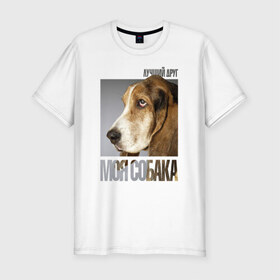 Мужская футболка премиум с принтом Бассет-хаунд в Курске, 92% хлопок, 8% лайкра | приталенный силуэт, круглый вырез ворота, длина до линии бедра, короткий рукав | drug | бассет хаунд | порода | собака