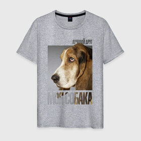 Мужская футболка хлопок с принтом Бассет-хаунд в Курске, 100% хлопок | прямой крой, круглый вырез горловины, длина до линии бедер, слегка спущенное плечо. | drug | бассет хаунд | порода | собака