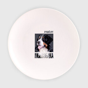 Тарелка с принтом Бернский зенненхунд в Курске, фарфор | диаметр - 210 мм
диаметр для нанесения принта - 120 мм | Тематика изображения на принте: drug | бернский зенненхунд | порода | собака
