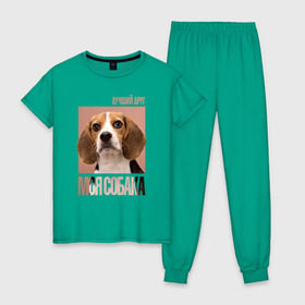 Женская пижама хлопок с принтом Бигль в Курске, 100% хлопок | брюки и футболка прямого кроя, без карманов, на брюках мягкая резинка на поясе и по низу штанин | drug | бигль | порода | собака