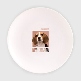 Тарелка 3D с принтом Бигль в Курске, фарфор | диаметр - 210 мм
диаметр для нанесения принта - 120 мм | drug | бигль | порода | собака