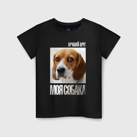 Детская футболка хлопок с принтом Бигль в Курске, 100% хлопок | круглый вырез горловины, полуприлегающий силуэт, длина до линии бедер | drug | бигль | порода | собака