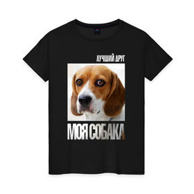 Женская футболка хлопок с принтом Бигль в Курске, 100% хлопок | прямой крой, круглый вырез горловины, длина до линии бедер, слегка спущенное плечо | drug | бигль | порода | собака