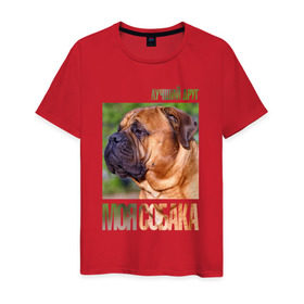 Мужская футболка хлопок с принтом Бульмастиф в Курске, 100% хлопок | прямой крой, круглый вырез горловины, длина до линии бедер, слегка спущенное плечо. | drug | бульмастиф | порода | собака