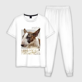 Мужская пижама хлопок с принтом Бультерьер в Курске, 100% хлопок | брюки и футболка прямого кроя, без карманов, на брюках мягкая резинка на поясе и по низу штанин
 | drug | порода | собака
