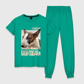 Женская пижама хлопок с принтом Бультерьер в Курске, 100% хлопок | брюки и футболка прямого кроя, без карманов, на брюках мягкая резинка на поясе и по низу штанин | drug | порода | собака