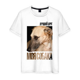 Мужская футболка хлопок с принтом Грейхаунд в Курске, 100% хлопок | прямой крой, круглый вырез горловины, длина до линии бедер, слегка спущенное плечо. | drug | грейхаунд | порода | собака