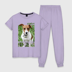 Женская пижама хлопок с принтом Джек-рассел-терьер в Курске, 100% хлопок | брюки и футболка прямого кроя, без карманов, на брюках мягкая резинка на поясе и по низу штанин | drug | джек рассел терьер | порода | собака