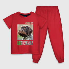Детская пижама хлопок с принтом Дратхаар, лучший, друг, собака в Курске, 100% хлопок |  брюки и футболка прямого кроя, без карманов, на брюках мягкая резинка на поясе и по низу штанин
 | drug | дратхаар | порода | собака