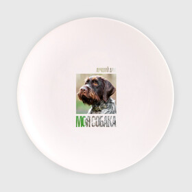 Тарелка с принтом Дратхаар, лучший, друг, собака в Курске, фарфор | диаметр - 210 мм
диаметр для нанесения принта - 120 мм | Тематика изображения на принте: drug | дратхаар | порода | собака