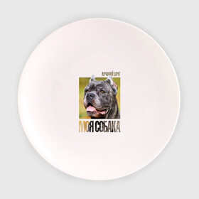 Тарелка с принтом Канне корсо в Курске, фарфор | диаметр - 210 мм
диаметр для нанесения принта - 120 мм | drug | канне корсо | порода | собака