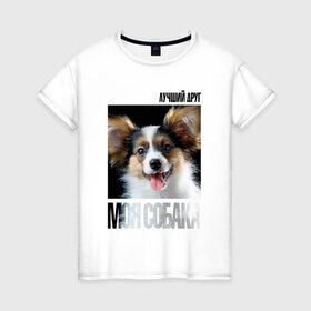 Женская футболка хлопок с принтом Папийон в Курске, 100% хлопок | прямой крой, круглый вырез горловины, длина до линии бедер, слегка спущенное плечо | drug | папийон | порода | собака