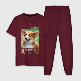 Мужская пижама хлопок с принтом Вельш-корги-пемброк в Курске, 100% хлопок | брюки и футболка прямого кроя, без карманов, на брюках мягкая резинка на поясе и по низу штанин
 | Тематика изображения на принте: drug | вельш корги пемброк | порода | собака