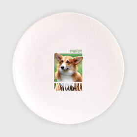 Тарелка с принтом Вельш-корги-пемброк в Курске, фарфор | диаметр - 210 мм
диаметр для нанесения принта - 120 мм | drug | вельш корги пемброк | порода | собака