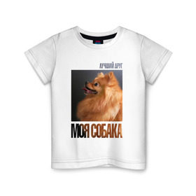 Детская футболка хлопок с принтом Померанский шпиц в Курске, 100% хлопок | круглый вырез горловины, полуприлегающий силуэт, длина до линии бедер | drug | померанский шпиц | порода | собака