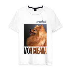 Мужская футболка хлопок с принтом Померанский шпиц в Курске, 100% хлопок | прямой крой, круглый вырез горловины, длина до линии бедер, слегка спущенное плечо. | drug | померанский шпиц | порода | собака