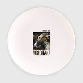 Тарелка с принтом Псовая русская борзая в Курске, фарфор | диаметр - 210 мм
диаметр для нанесения принта - 120 мм | порода | псовая русская борзая | собака