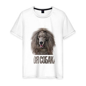 Мужская футболка хлопок с принтом Пудель стандартный в Курске, 100% хлопок | прямой крой, круглый вырез горловины, длина до линии бедер, слегка спущенное плечо. | drug | порода | пудель стандартный | собака