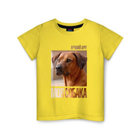 Детская футболка хлопок с принтом Родезийский риджбек в Курске, 100% хлопок | круглый вырез горловины, полуприлегающий силуэт, длина до линии бедер | drug | порода | родезийский риджбек | собака