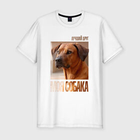 Мужская футболка премиум с принтом Родезийский риджбек в Курске, 92% хлопок, 8% лайкра | приталенный силуэт, круглый вырез ворота, длина до линии бедра, короткий рукав | Тематика изображения на принте: drug | порода | родезийский риджбек | собака