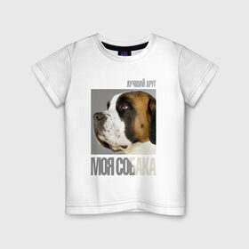 Детская футболка хлопок с принтом Сенбернар в Курске, 100% хлопок | круглый вырез горловины, полуприлегающий силуэт, длина до линии бедер | drug | порода | сенбернар | собака