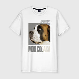 Мужская футболка премиум с принтом Сенбернар в Курске, 92% хлопок, 8% лайкра | приталенный силуэт, круглый вырез ворота, длина до линии бедра, короткий рукав | drug | порода | сенбернар | собака