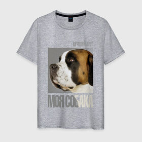 Мужская футболка хлопок с принтом Сенбернар в Курске, 100% хлопок | прямой крой, круглый вырез горловины, длина до линии бедер, слегка спущенное плечо. | drug | порода | сенбернар | собака