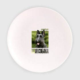 Тарелка с принтом Скотч-терьер в Курске, фарфор | диаметр - 210 мм
диаметр для нанесения принта - 120 мм | drug | порода | скотч | собака