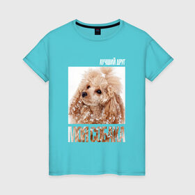 Женская футболка хлопок с принтом Той-пудель в Курске, 100% хлопок | прямой крой, круглый вырез горловины, длина до линии бедер, слегка спущенное плечо | drug | порода | пудель | собака