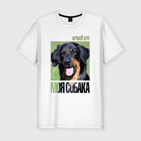 Мужская футболка премиум с принтом Ховаварт в Курске, 92% хлопок, 8% лайкра | приталенный силуэт, круглый вырез ворота, длина до линии бедра, короткий рукав | drug | порода | собака | ховаварт