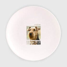 Тарелка с принтом Эрдельтерьер в Курске, фарфор | диаметр - 210 мм
диаметр для нанесения принта - 120 мм | drug | порода | собака | эрдельтерьер