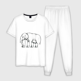 Мужская пижама хлопок с принтом Сколько ног у слона в Курске, 100% хлопок | брюки и футболка прямого кроя, без карманов, на брюках мягкая резинка на поясе и по низу штанин
 | слон
