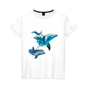 Женская футболка хлопок с принтом Дельфины в Курске, 100% хлопок | прямой крой, круглый вырез горловины, длина до линии бедер, слегка спущенное плечо | die antwoord
