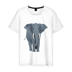 Мужская футболка хлопок с принтом Слон в Курске, 100% хлопок | прямой крой, круглый вырез горловины, длина до линии бедер, слегка спущенное плечо. | 