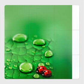 Магнитный плакат 3Х3 с принтом Божьи коровки в Курске, Полимерный материал с магнитным слоем | 9 деталей размером 9*9 см | Тематика изображения на принте: 