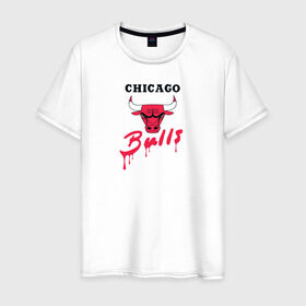 Мужская футболка хлопок с принтом Bulls в Курске, 100% хлопок | прямой крой, круглый вырез горловины, длина до линии бедер, слегка спущенное плечо. | chicago bulls | баскетбол