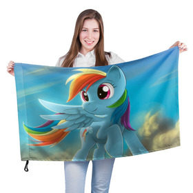 Флаг 3D с принтом My littlle pony в Курске, 100% полиэстер | плотность ткани — 95 г/м2, размер — 67 х 109 см. Принт наносится с одной стороны | littlle | littlle pony | pony | пони