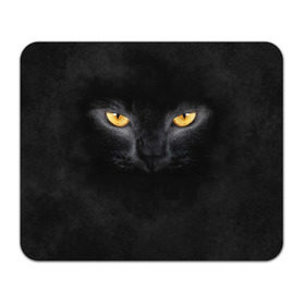 Коврик прямоугольный с принтом Черная кошка в Курске, натуральный каучук | размер 230 х 185 мм; запечатка лицевой стороны | глаза | киса | кот | котик | кошка | черная кошка