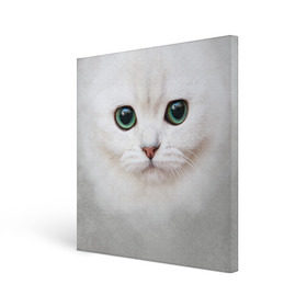 Холст квадратный с принтом Белый котик в Курске, 100% ПВХ |  | белая кошка | киса | кот | котик | кошка