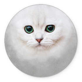 Коврик круглый с принтом Белый котик в Курске, резина и полиэстер | круглая форма, изображение наносится на всю лицевую часть | Тематика изображения на принте: белая кошка | киса | кот | котик | кошка