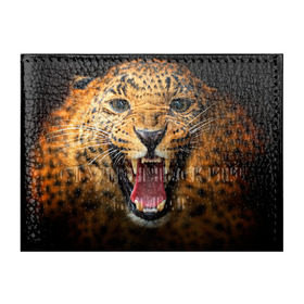 Обложка для студенческого билета с принтом Леопард в Курске, натуральная кожа | Размер: 11*8 см; Печать на всей внешней стороне | киса | кошка | леопард | хищник