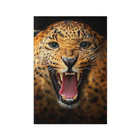 Обложка для паспорта матовая кожа с принтом Леопард в Курске, натуральная матовая кожа | размер 19,3 х 13,7 см; прозрачные пластиковые крепления | киса | кошка | леопард | хищник